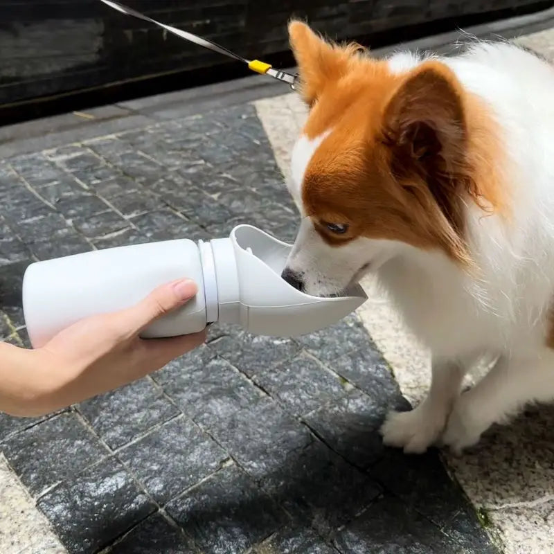 PawHydrate™ Foldable Pet Bottle – 550ml Travel Water Dispenser for Dogs & Cats